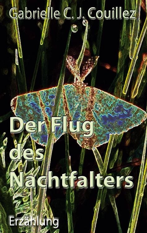 Produktbild: Der Flug des Nachtfalters