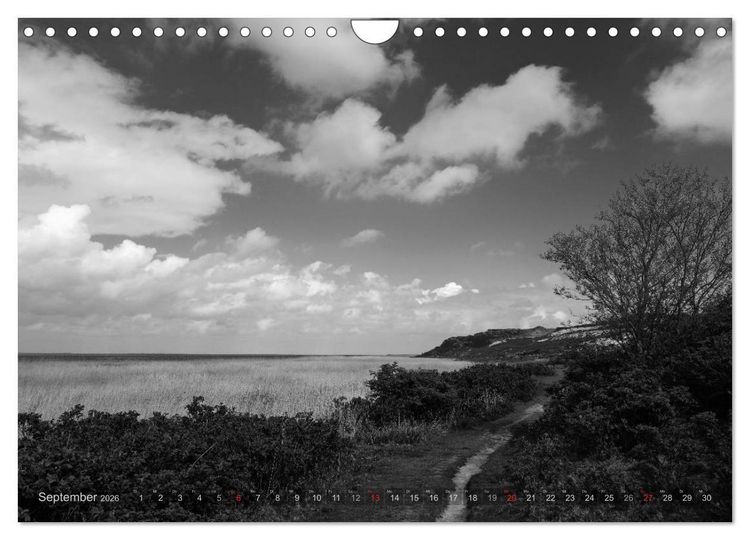 Produktbild: 54&deg;54'57"N 8&deg;19'51"E SYLT (Wandkalender 2026 DIN A4 quer), CALVENDO Monatskalender