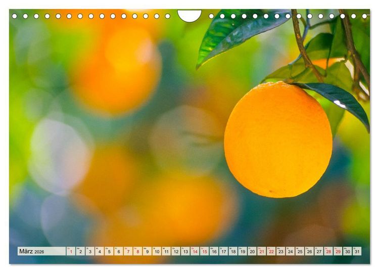 Produktbild: Immer wieder Mallorca (Wandkalender 2026 DIN A4 quer), CALVENDO Monatskalender