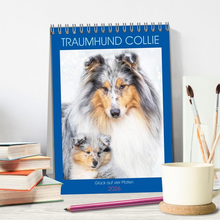 Produktbild: Traumhund Collie - Gl&uuml;ck auf vier Pfoten (Tischkalender 2026 DIN A5 hoch), CALVENDO Monatskalender