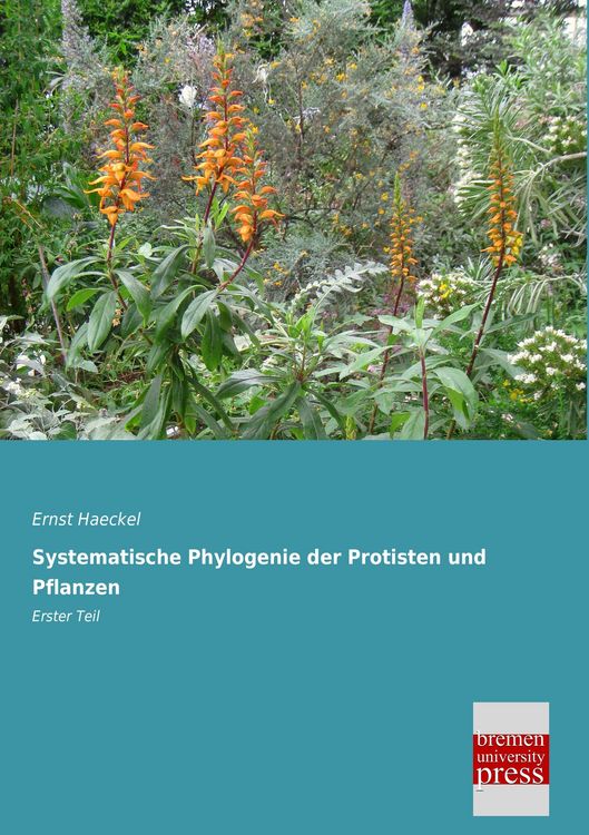 Produktbild: Systematische Phylogenie der Protisten und Pflanzen