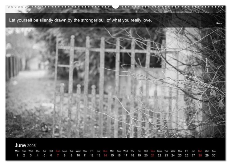 Produktbild: Through the Gate with Rumi (High Quality Premium Wall Calendar 2026 DIN A2 landscape),CALVENDO 12 Month Wall Calendar