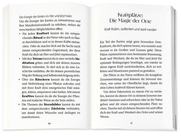 Produktbild: Das heilende Orakel der Rauhn&auml;chte