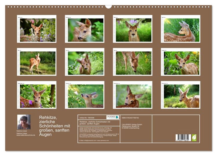 Produktbild: Rehkitze, zierliche Sch&ouml;nheiten mit gro&szlig;en, sanften Augen (Wandkalender 2026 DIN A2 quer), CALVENDO Monatskalender