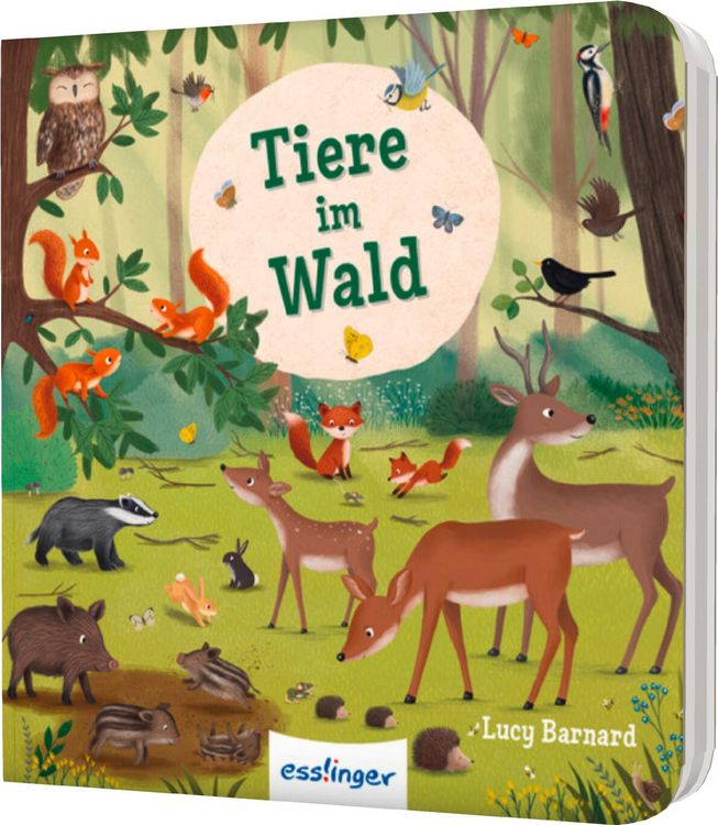 Produktbild: Mein erstes Natur-Wimmelbuch: Tiere im Wald &ndash; Mini-Ausgabe