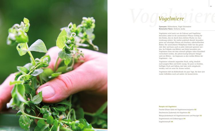 Produktbild: So schmecken Wildpflanzen