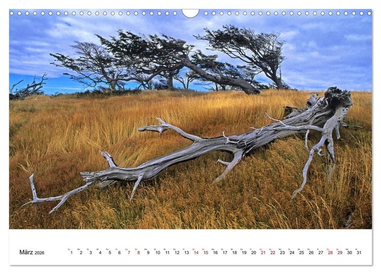 Produktbild: Faszinierendes Patagonien (Wandkalender 2026 DIN A3 quer), CALVENDO Monatskalender