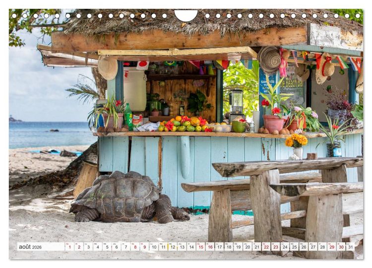 Produktbild: Seychelles - Des &icirc;les de r&ecirc;ve dans l'oc&eacute;an Indien (Calendrier mural 2026 DIN A4 vertical), CALVENDO calendrier mensuel
