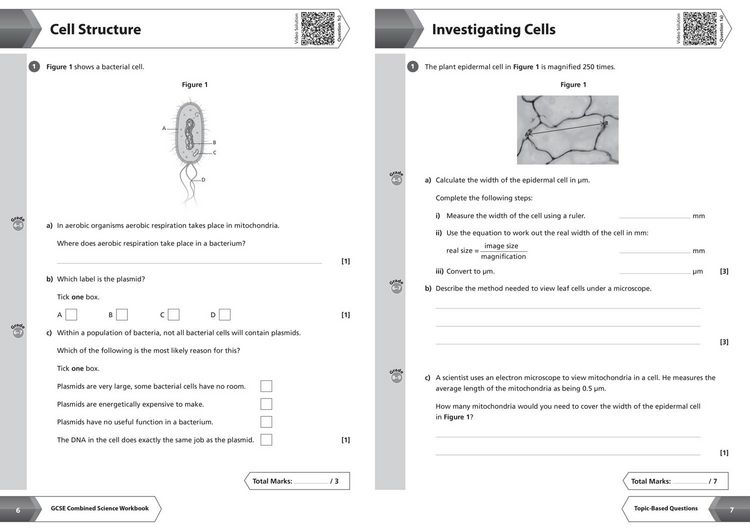 Produktbild: AQA GCSE 9-1 Combined Science Higher Workbook