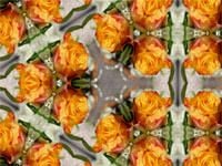 Produktbild: CALVENDO Puzzle Rosentrio 1000 Teile Lege-Gr&ouml;&szlig;e 640 x 480 cm Foto-Puzzle Bild von Sabine Hampe-Neves