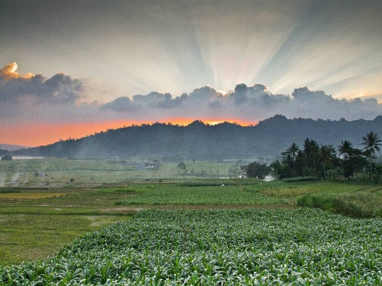 Produktbild: CALVENDO Puzzle Sonnenuntergang | 1000 Teile Lege-Gr&ouml;&szlig;e 64x48cm Foto-Puzzle f&uuml;r gl&uuml;ckliche Stunden