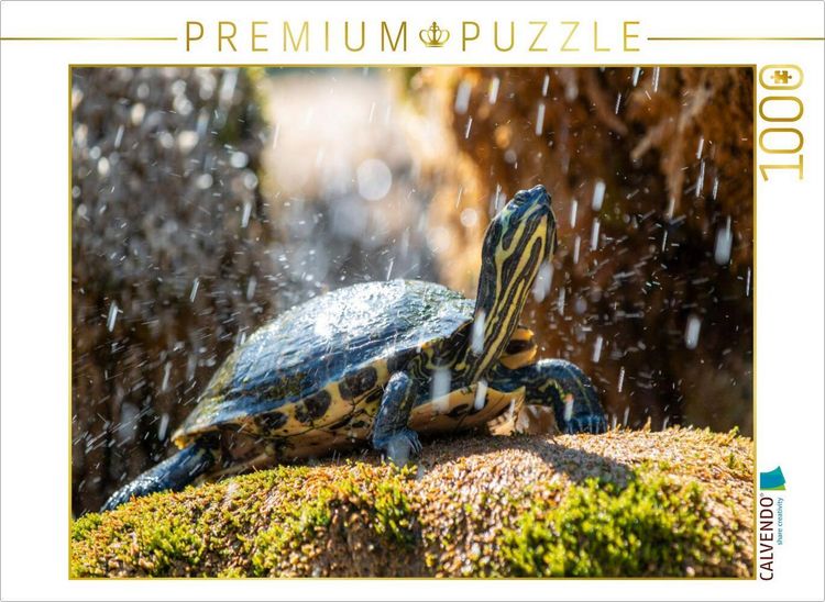 Produktbild: CALVENDO Puzzle Gelbbauch-Schmuckschildkr&ouml;te im Schildkr&ouml;tenbrunnen in Sibenik | 1000 Teile Lege-Gr&ouml;&szlig;e 64x48cm Foto-Puzzle f&uuml;r gl&uuml;ckliche Stunden