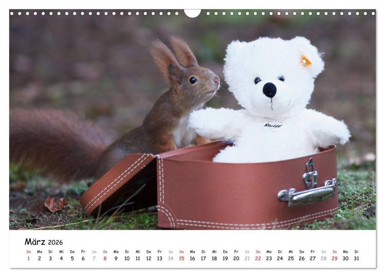 Produktbild: Unsere Eichh&ouml;rnchen in Bayern (Wandkalender 2026 DIN A3 quer), CALVENDO Monatskalender