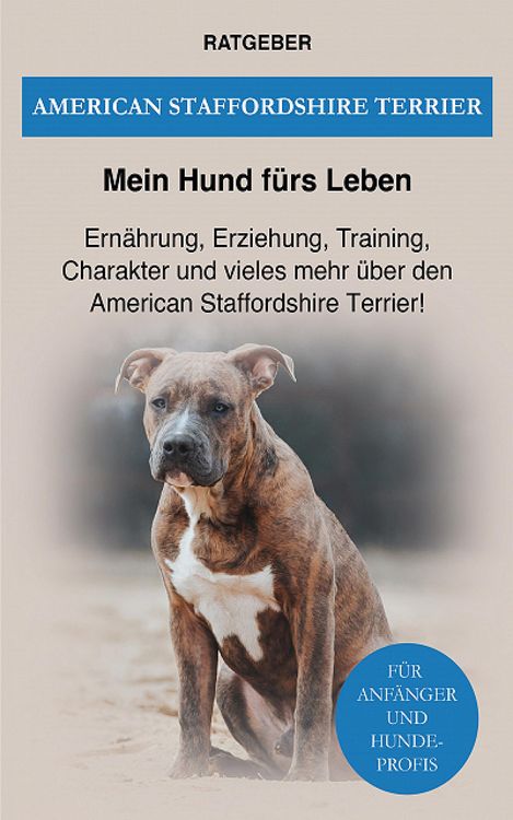 Produktbild: American Staffordshire Terrier