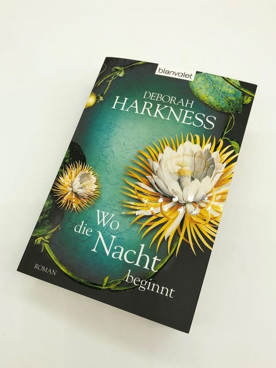 Produktbild: Wo die Nacht beginnt