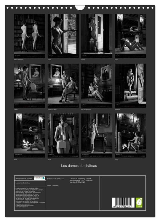 Produktbild: Les dames du ch&acirc;teau (Calendrier mural 2026 DIN A3 horizontal), CALVENDO calendrier mensuel