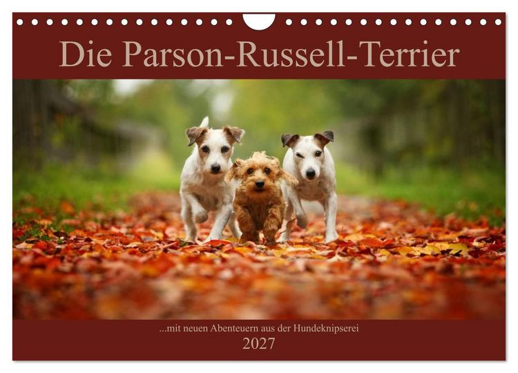 Produktbild: Die Parson-Russell-Terrier...mit neuen Abenteuern aus der Hundeknipserei (Wandkalender 2027 DIN A4 quer), CALVENDO Monatskalender