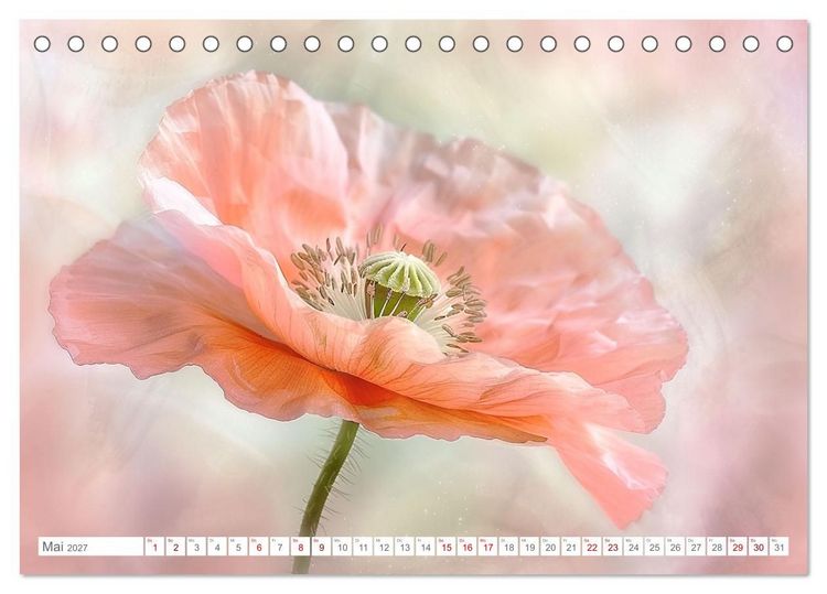 Produktbild: Bezaubernde Mohnblumen (Tischkalender 2027 DIN A5 quer), CALVENDO Monatskalender