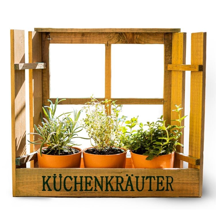 Bild vom Artikel HTI-line Kräuterfenster Mina vom Autor 
