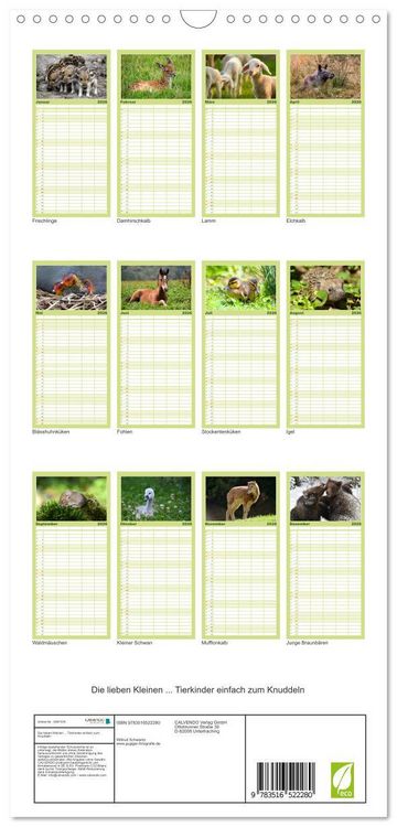 Produktbild: Familienplaner 2026 - Die lieben Kleinen ... Tierkinder einfach zum Knuddeln mit 5 Spalten (Wandkalender, 21 x 45 cm) CALVENDO