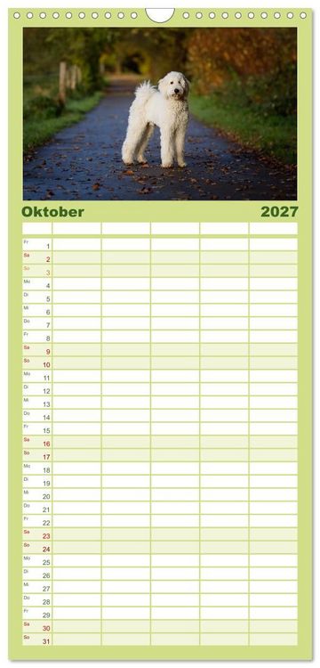Produktbild: Familienplaner 2027 - Pudel mit 5 Spalten (Wandkalender, 21 x 45 cm) CALVENDO