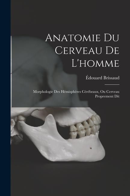 Produktbild: Anatomie Du Cerveau De L'homme
