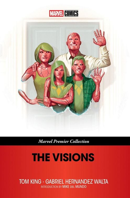 Produktbild: The Visions (Marvel Premier Collection)