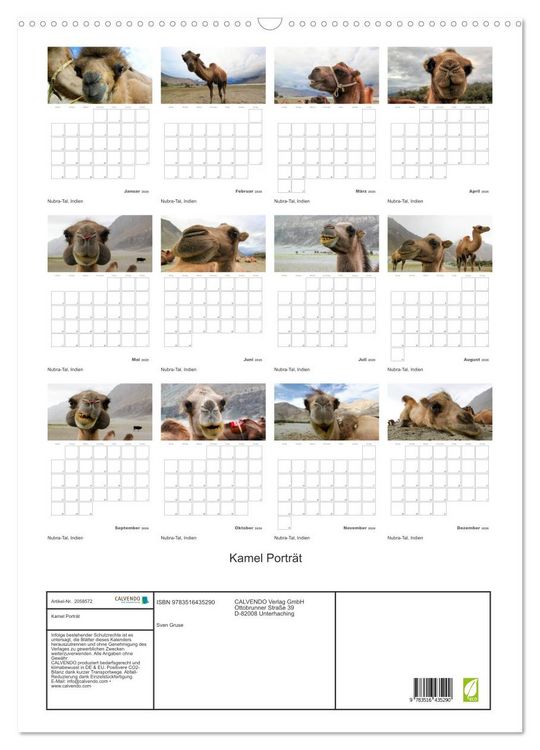 Produktbild: Kamel Portr&auml;t (Wandkalender 2026 DIN A2 hoch), CALVENDO Monatskalender