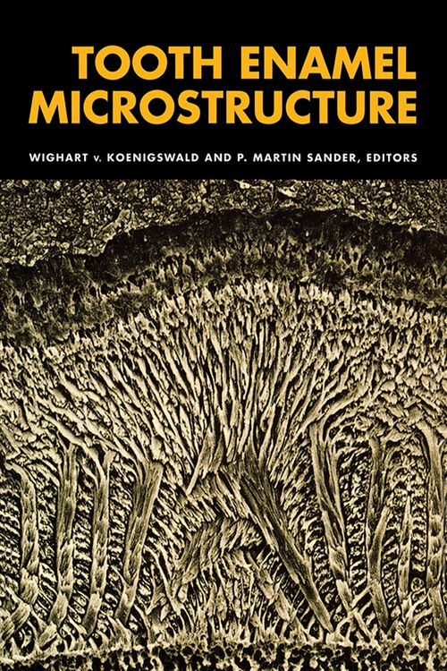 Produktbild: Tooth Enamel Microstructure