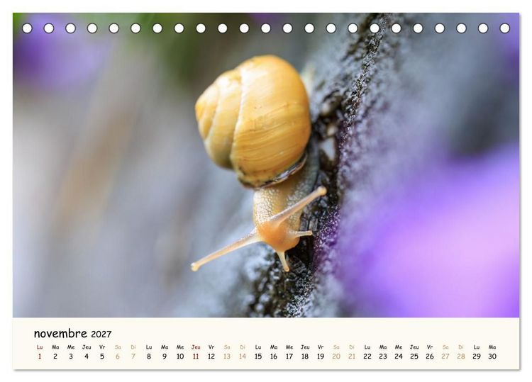 Produktbild: Les voisins du jardin - Une ann&eacute;e de rencontres (Calendrier de bureau 2027 DIN A5 vertical), CALVENDO calendrier mensuel