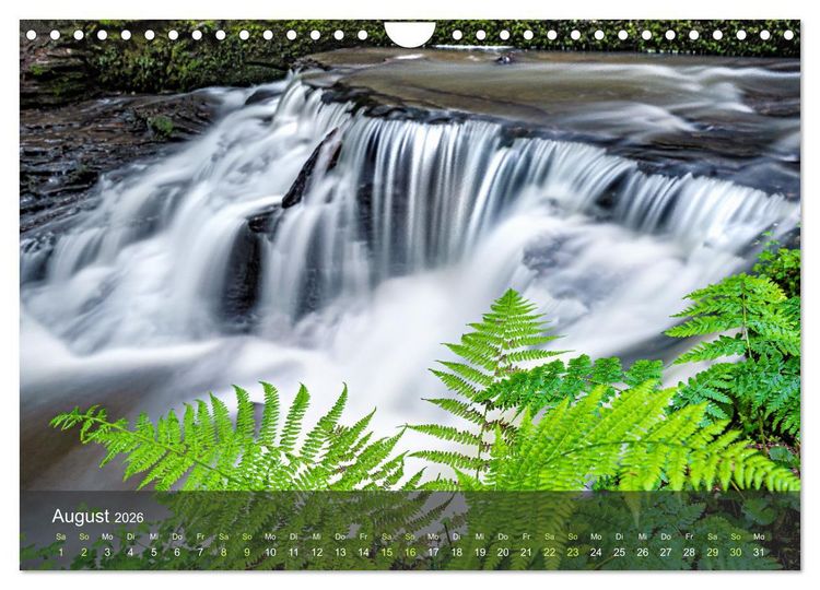 Produktbild: Idyllische Wasserwelten (Wandkalender 2026 DIN A4 quer), CALVENDO Monatskalender