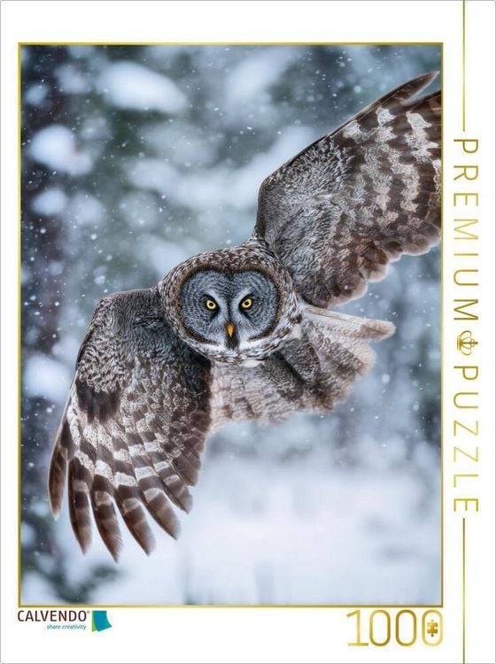 Produktbild: CALVENDO Puzzle Eule im Flug | 1000 Teile Lege-Gr&ouml;&szlig;e 64x48cm Foto-Puzzle f&uuml;r gl&uuml;ckliche Stunden