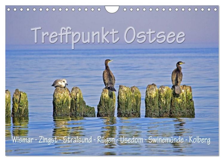 Produktbild: Treffpunkt Ostsee (Wandkalender 2026 DIN A4 quer), CALVENDO Monatskalender