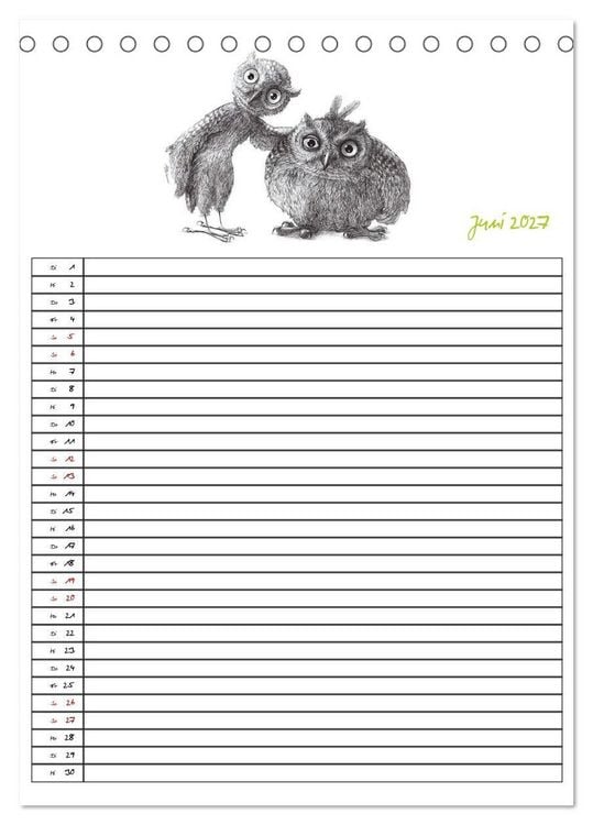 Produktbild: Tieronisch Eulen (Tischkalender 2027 DIN A5 hoch), CALVENDO Monatskalender