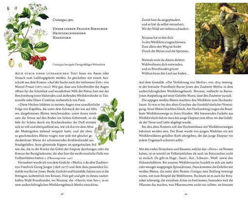 Produktbild: Frau Haselin und Drecks&auml;ck