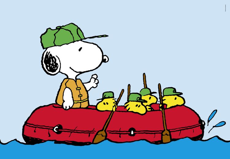 Produktbild: Peanuts Posterplaner gro&szlig;