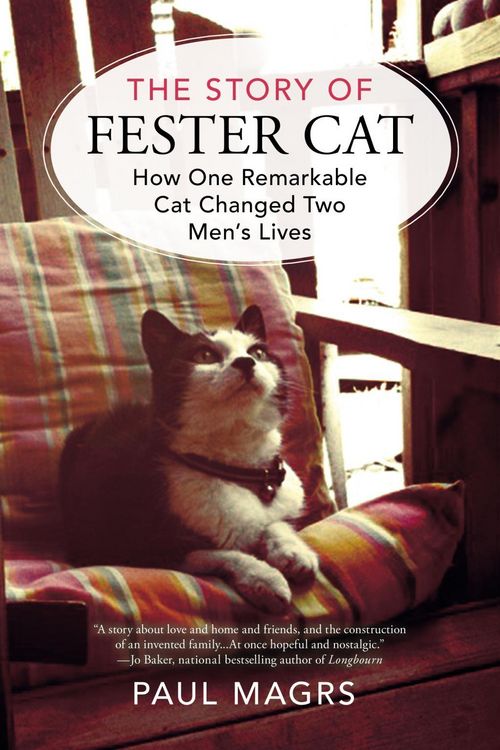 Produktbild: The Story of Fester Cat