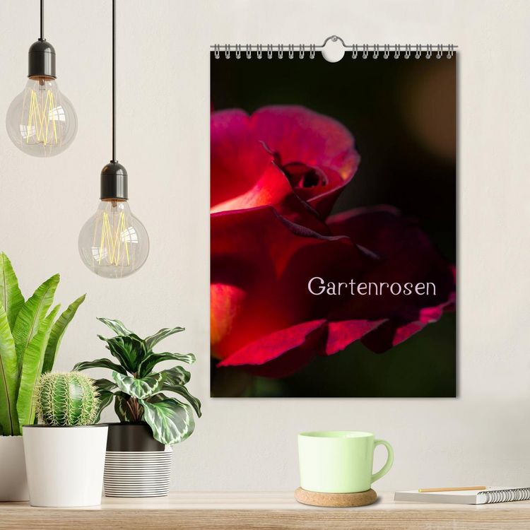 Produktbild: Gartenrosen (Wandkalender 2026 DIN A4 hoch), CALVENDO Monatskalender
