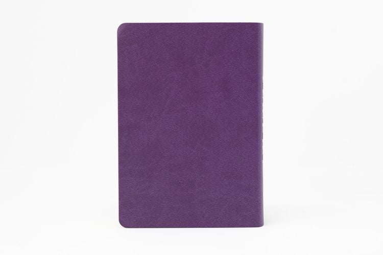 Produktbild: Die Bibel. Senfkorn, Handschmeichler lila