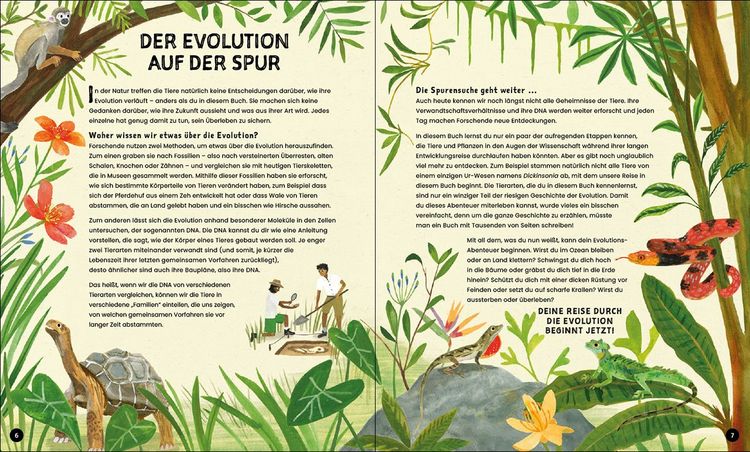 Produktbild: Evolution - Aussterben oder &uuml;berleben? Du entscheidest!