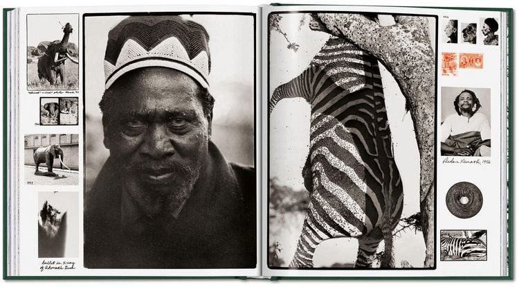 Produktbild: Peter Beard