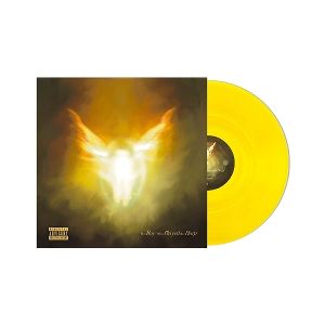 Produktbild: The Boy Who Played the Harp (Ltd. Yellow 2LP)