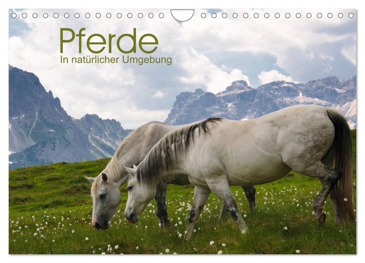Produktbild: Pferde - In nat&uuml;rlicher Umgebung (Wandkalender 2026 DIN A4 quer), CALVENDO Monatskalender