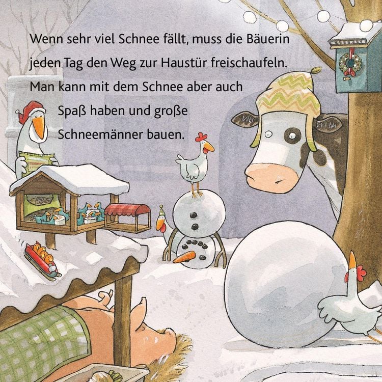 Produktbild: Bald ist Weihnachten, Lieselotte!