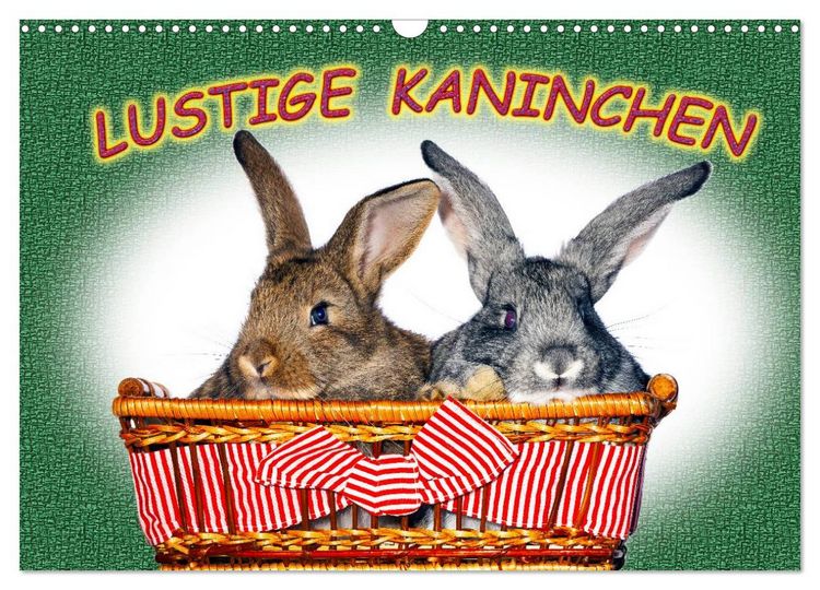 Produktbild: Lustige Kaninchen (Wandkalender 2026 DIN A3 quer), CALVENDO Monatskalender