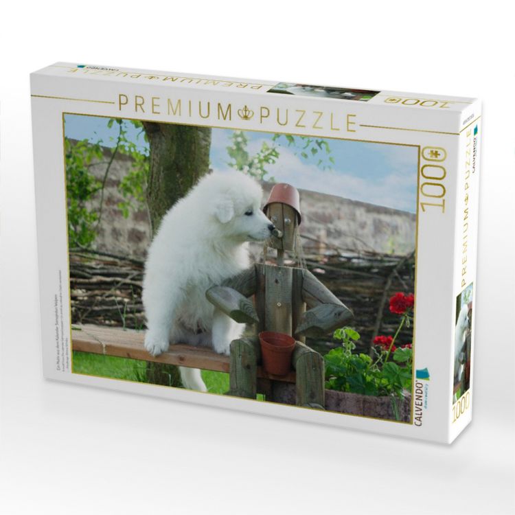 Produktbild: CALVENDO Puzzle Ein Motiv aus dem Kalender Samojeden Welpen | 1000 Teile Lege-Gr&ouml;&szlig;e 64x48cm Foto-Puzzle f&uuml;r gl&uuml;ckliche Stunden
