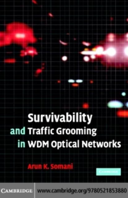 Produktbild: Survivability and Traffic Grooming in WDM Optical Networks