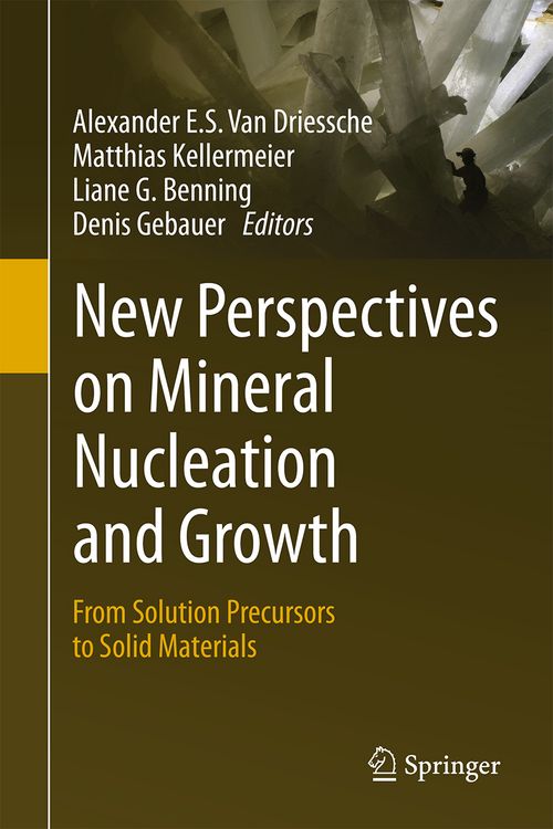 Produktbild: New Perspectives on Mineral Nucleation and Growth