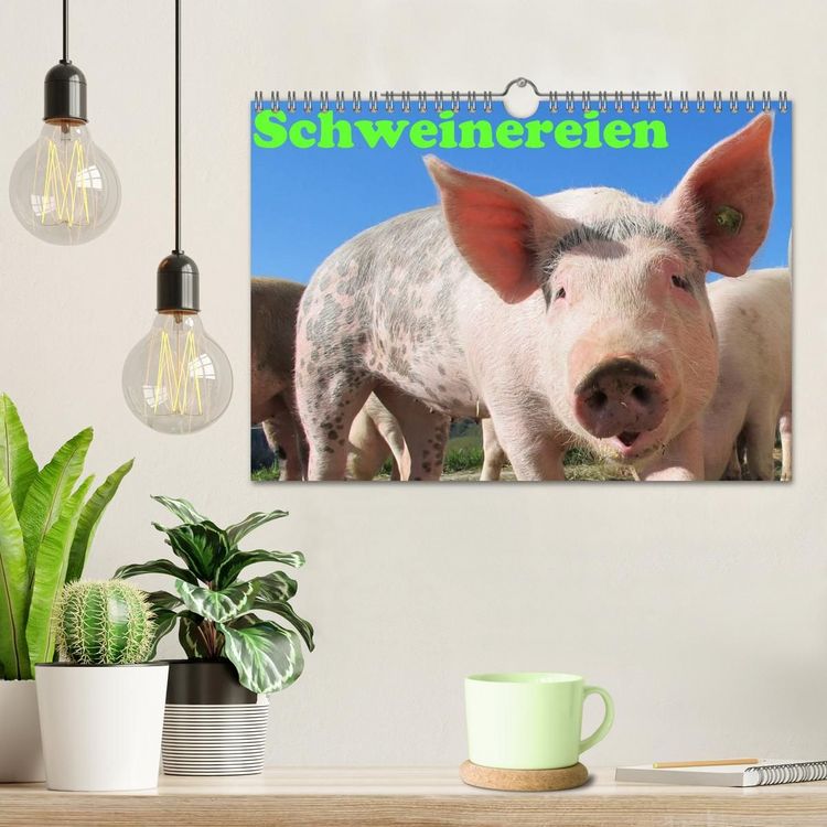 Produktbild: Schweinereien (Wandkalender 2027 DIN A4 quer), CALVENDO Monatskalender