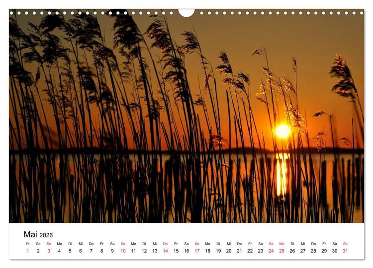 Produktbild: Insel R&uuml;gen (Wandkalender 2026 DIN A3 quer), CALVENDO Monatskalender